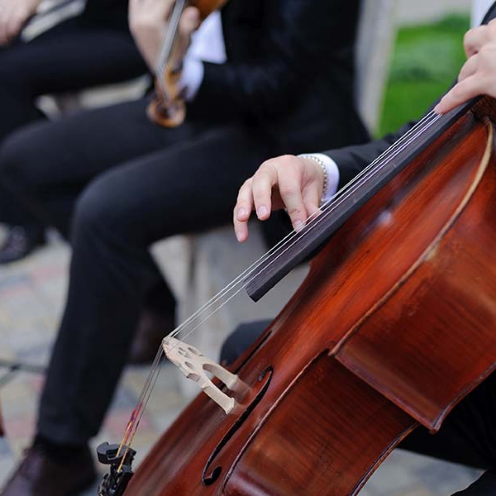 Wedding Music and Entertainment