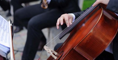 Wedding Music and Entertainment