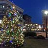 Come Downtown For Santa’s Arrival downtown-tree