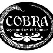Cobra Gymnastics and Dance Center obra