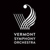 Take Another Look At The VSO VSO-logo