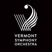Take Another Look At The VSO VSO-logo