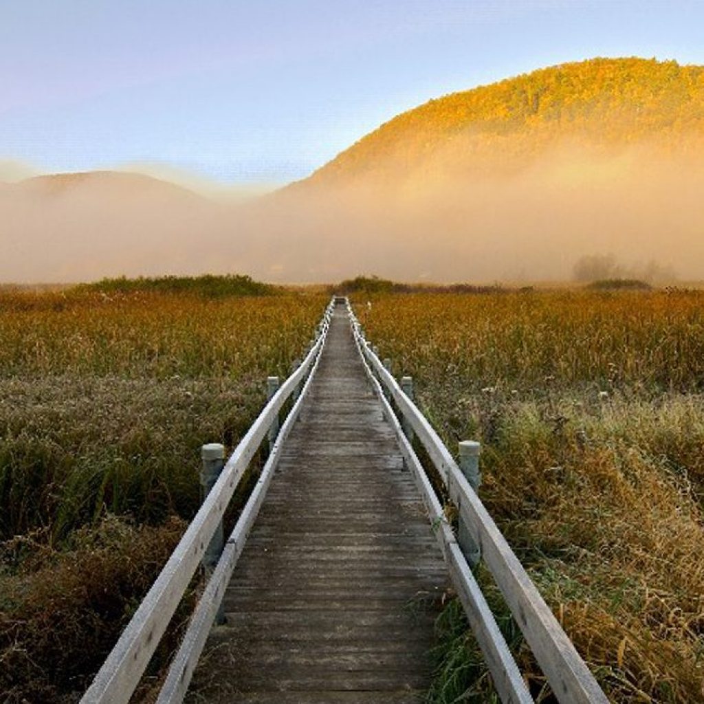 West Rutland Marsh boardwalk