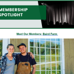 Email Newsletter Spotlight Advertisement