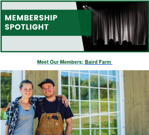 Email Newsletter Spotlight Advertisement